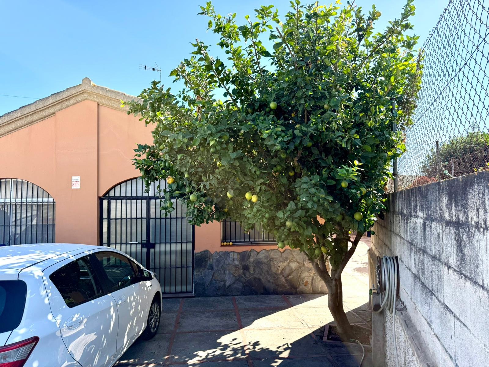 WhatsApp Image 2025-10-25 at 10.46.53