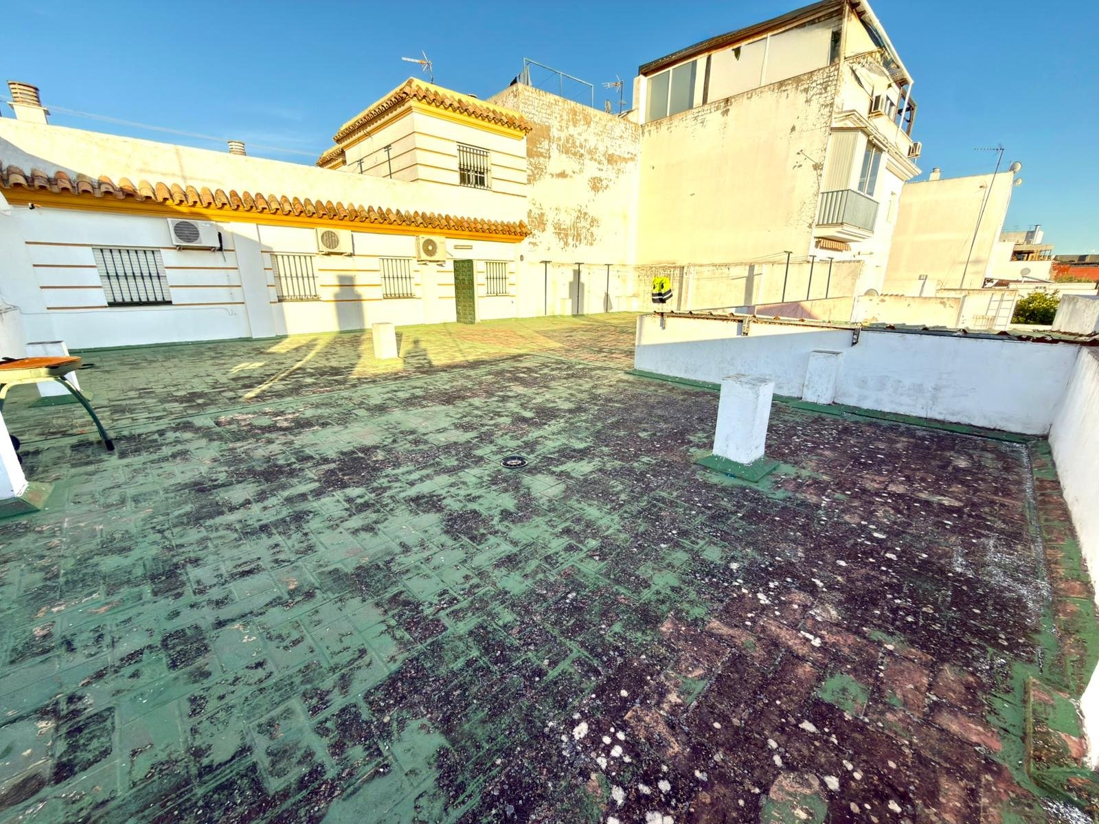 WhatsApp Image 2025-11-13 at 17.52.00