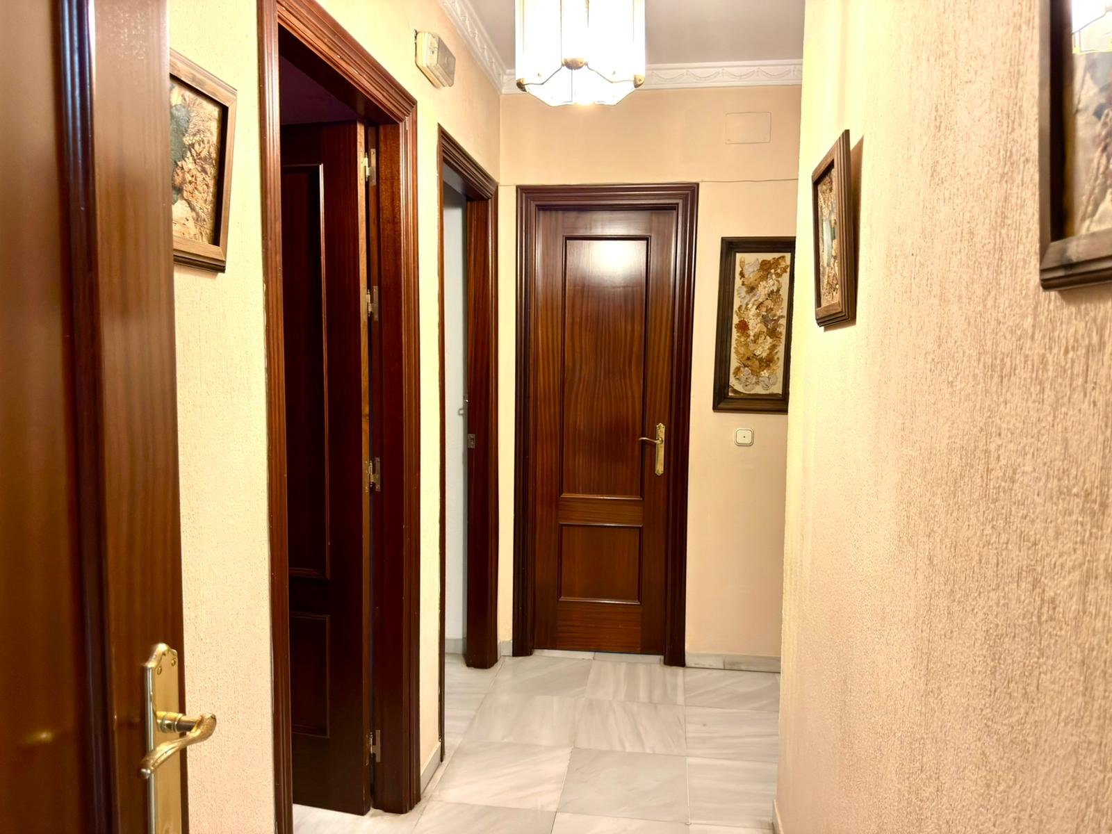 WhatsApp Image 2025-11-13 at 17.55.26