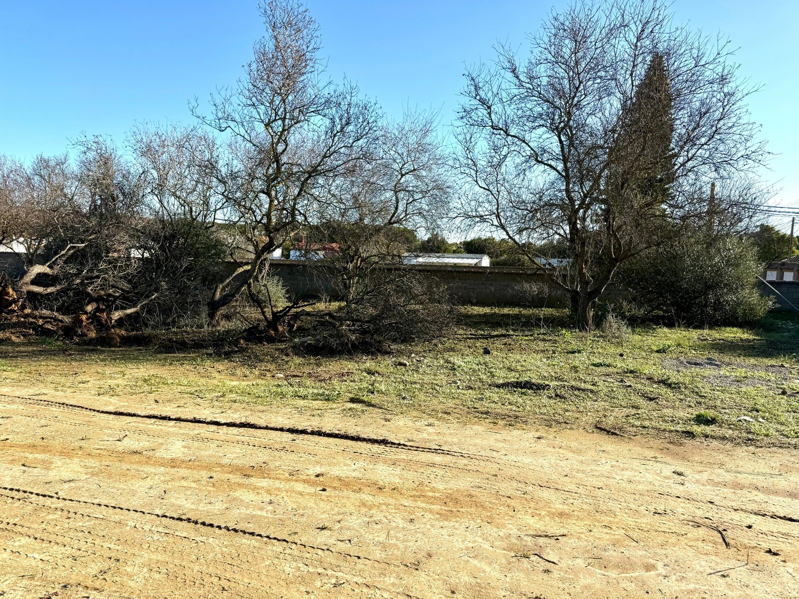 WhatsApp Image 2025-12-03 at 19.20.39