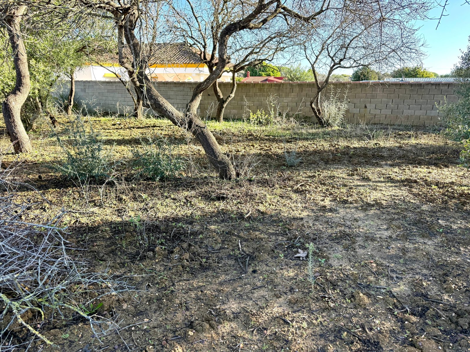 WhatsApp Image 2025-12-03 at 19.20.40 (1)