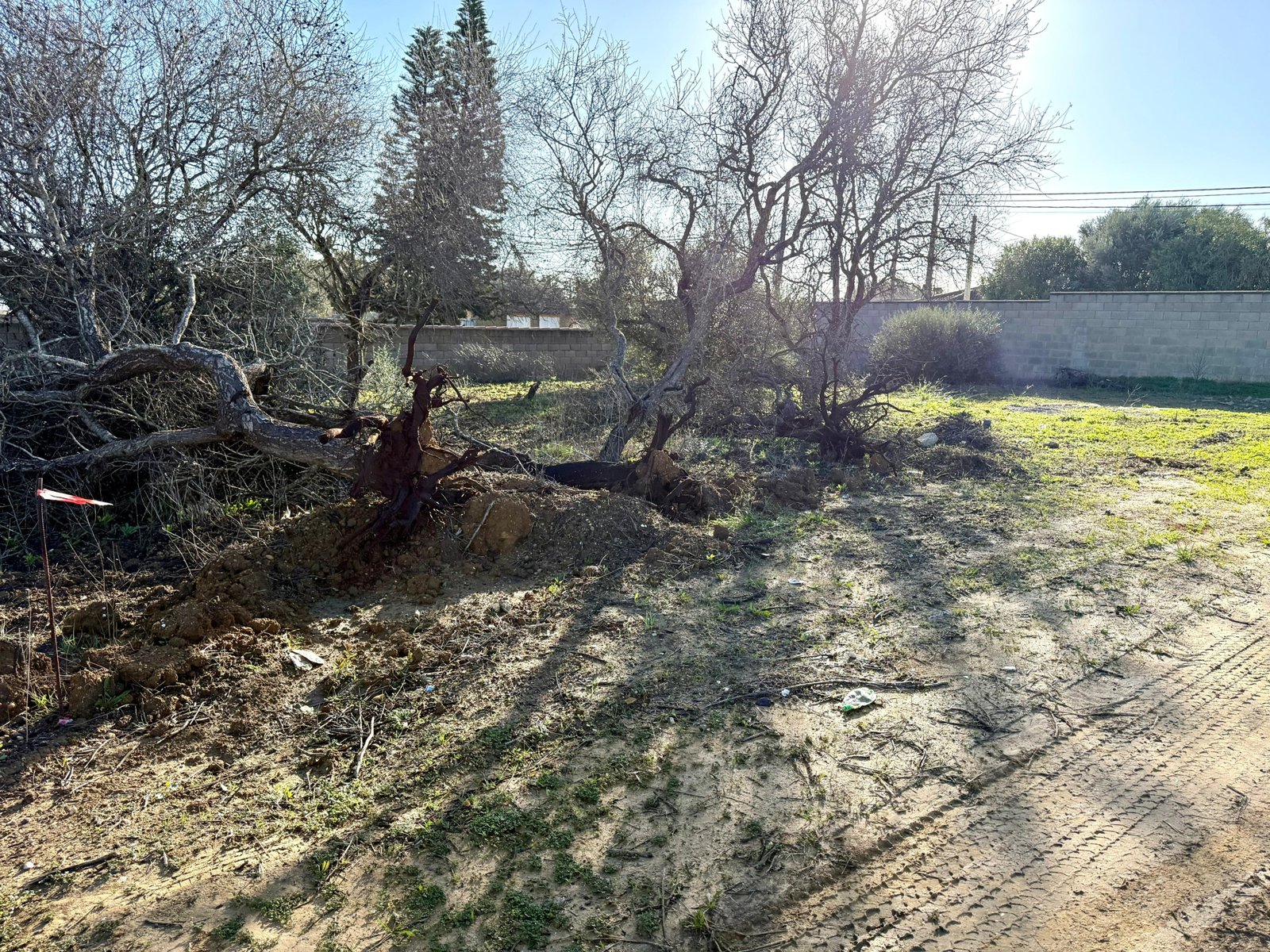 WhatsApp Image 2025-12-03 at 19.20.40 (2)