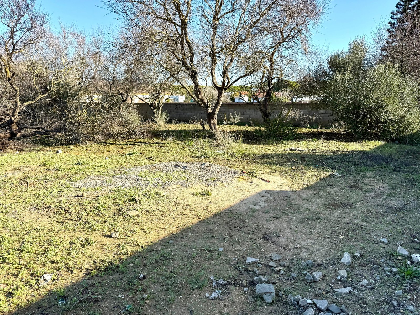 WhatsApp Image 2025-12-03 at 19.20.40