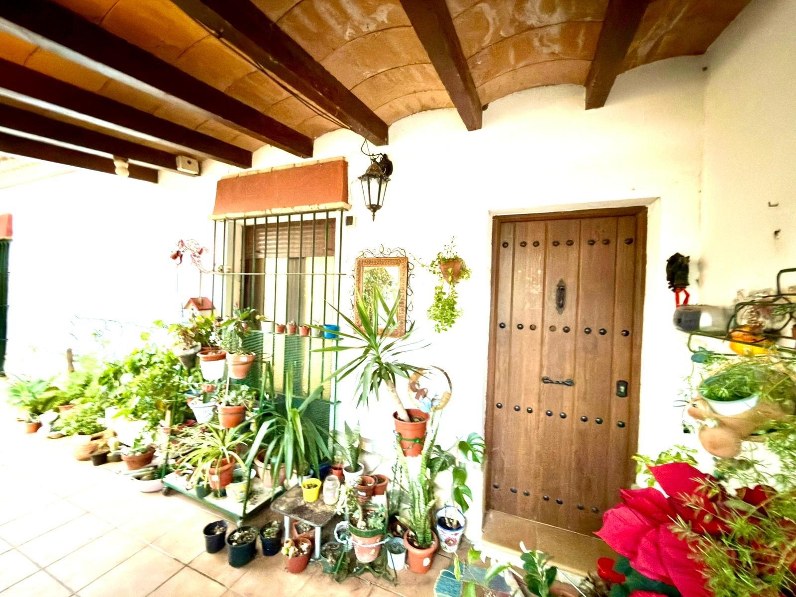 WhatsApp Image 2025-12-03 at 20.02.14