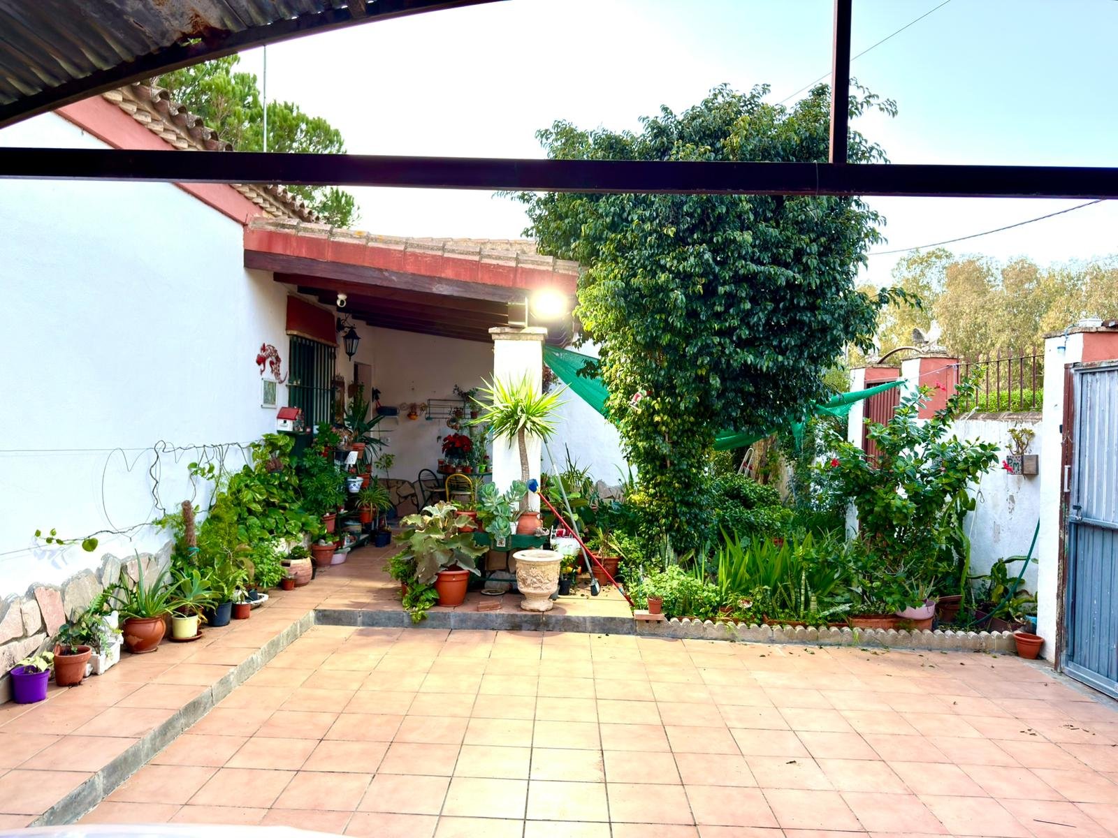 WhatsApp Image 2025-12-03 at 20.02.16