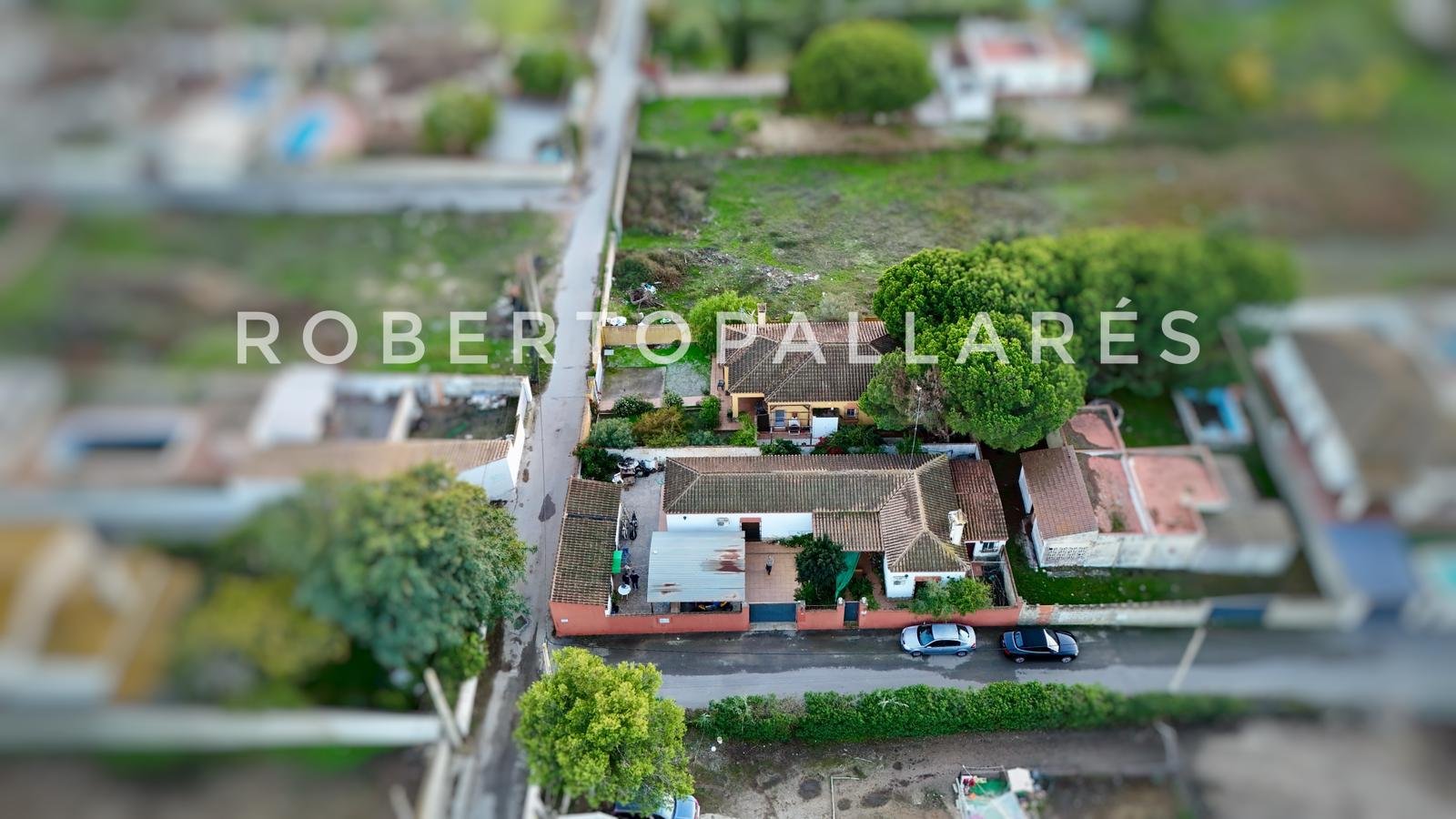 WhatsApp Image 2025-12-04 at 10.05.17 (1)