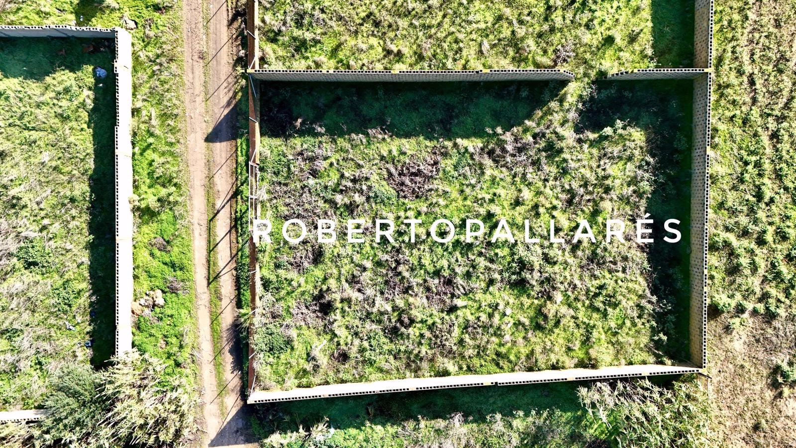 WhatsApp Image 2025-12-19 at 18.58.38