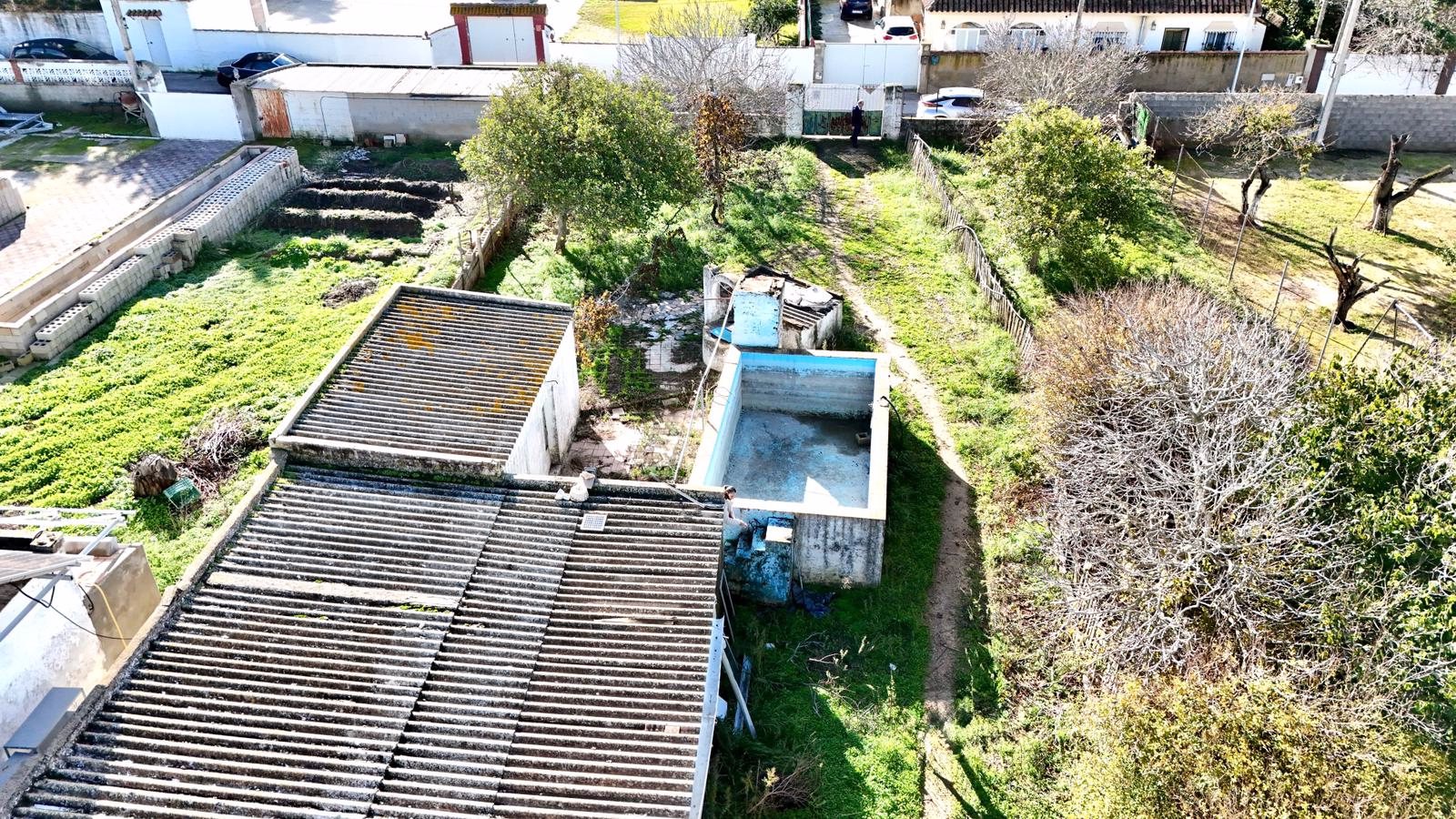 WhatsApp Image 2025-12-26 at 19.08.53 (1)