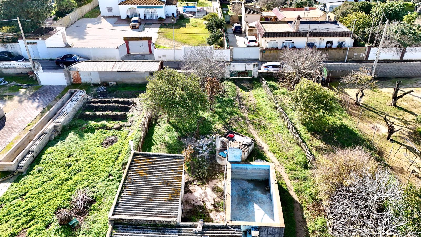 WhatsApp Image 2025-12-26 at 19.08.53