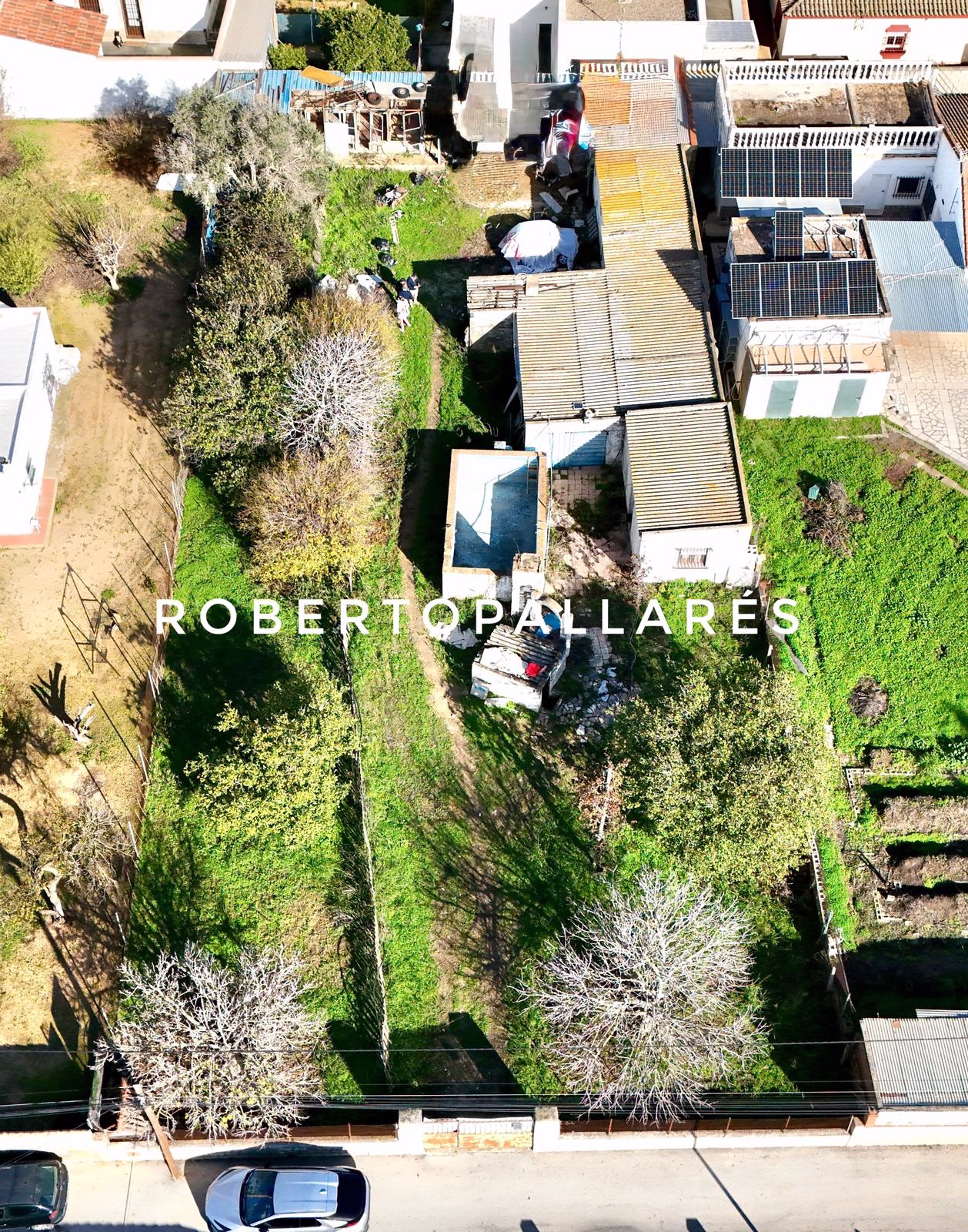 WhatsApp Image 2025-12-27 at 19.02.14