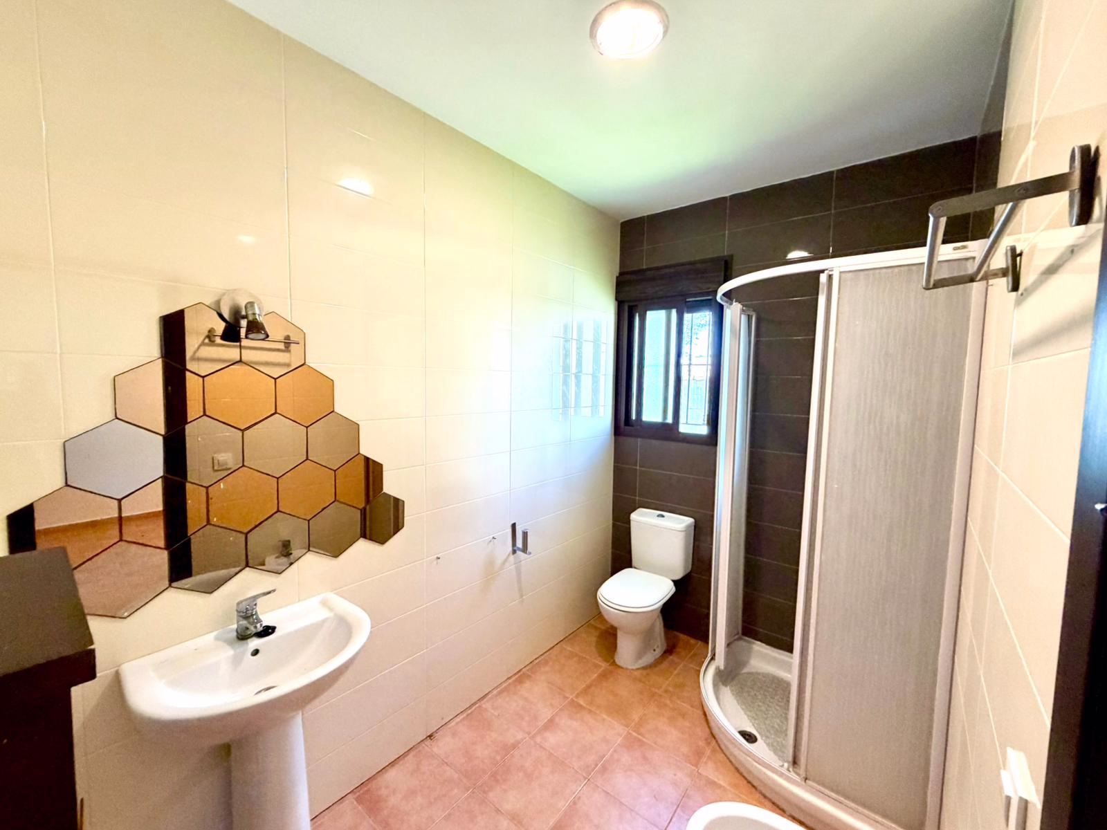 WhatsApp Image 2026-01-12 at 19.16.35 (1)