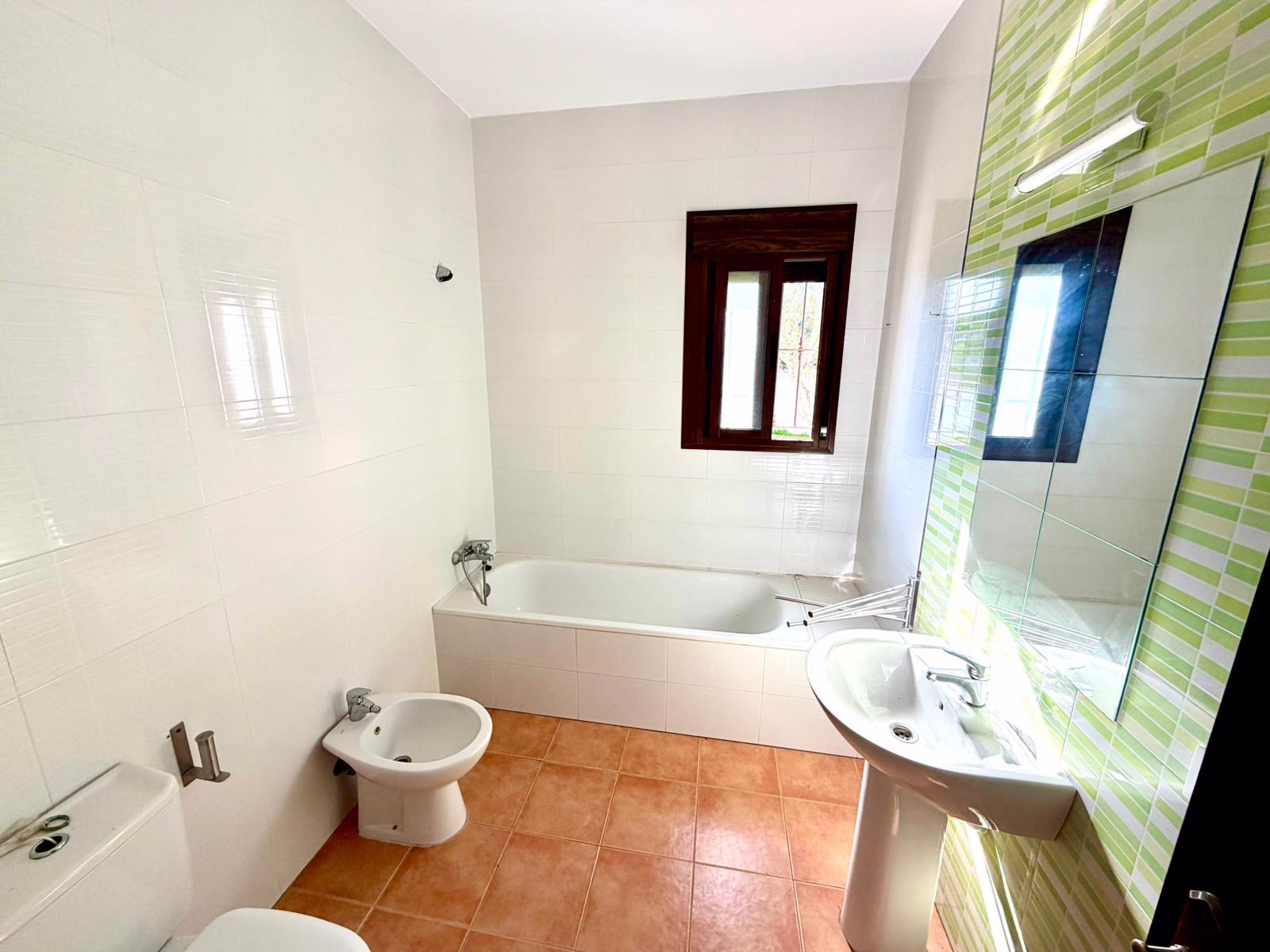 WhatsApp Image 2026-01-12 at 19.16.38