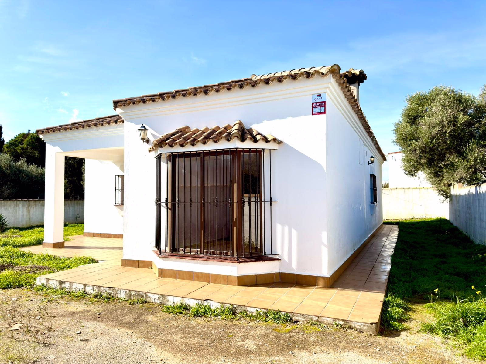 WhatsApp Image 2026-01-12 at 19.16.39