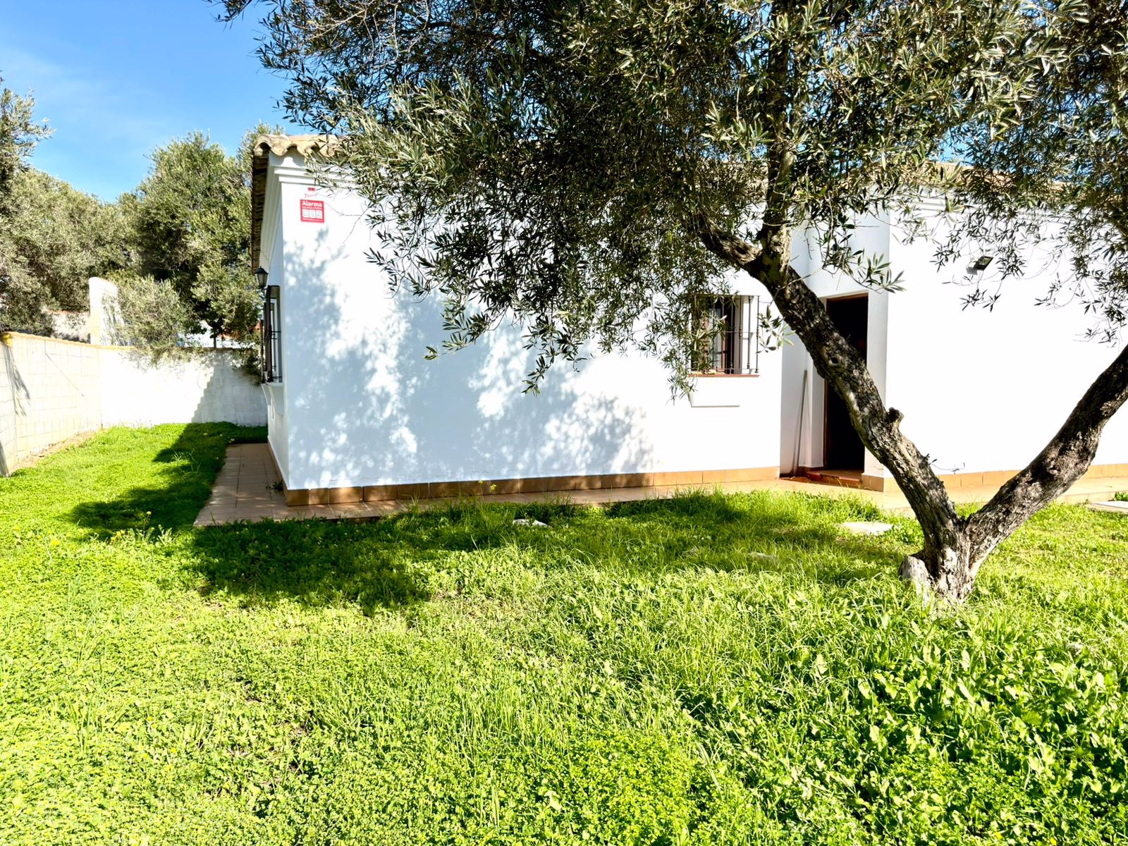 WhatsApp Image 2026-01-12 at 19.16.40