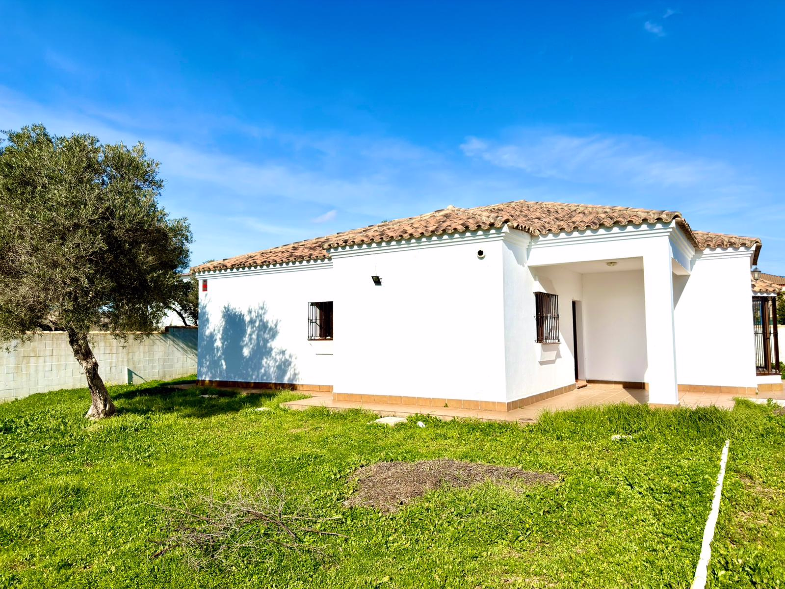 WhatsApp Image 2026-01-12 at 19.16.41 (1)