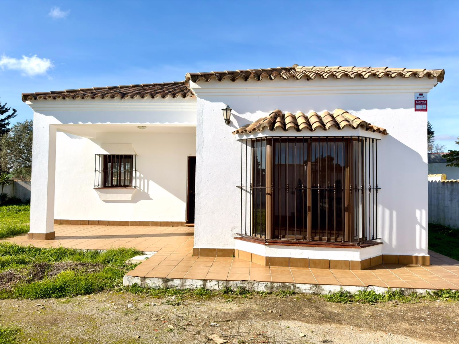 WhatsApp Image 2026-01-12 at 19.16.42