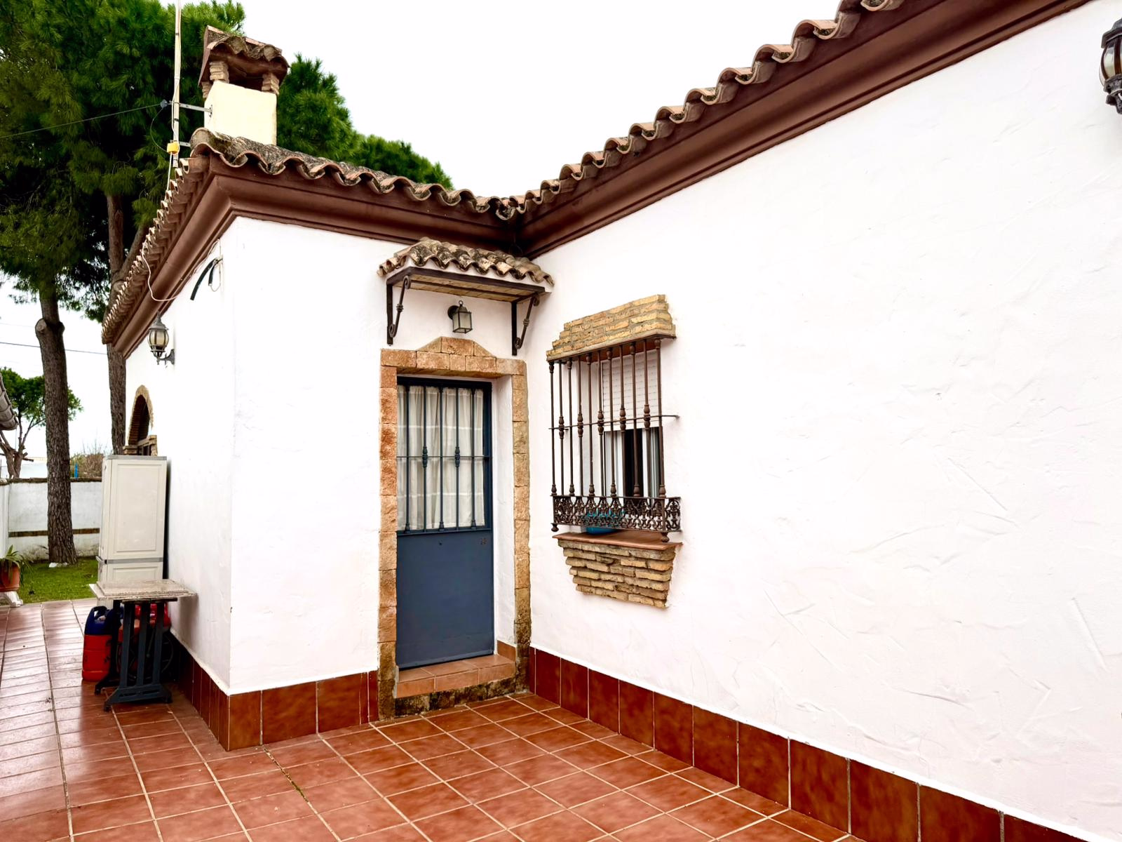 WhatsApp Image 2026-02-18 at 19.29.52