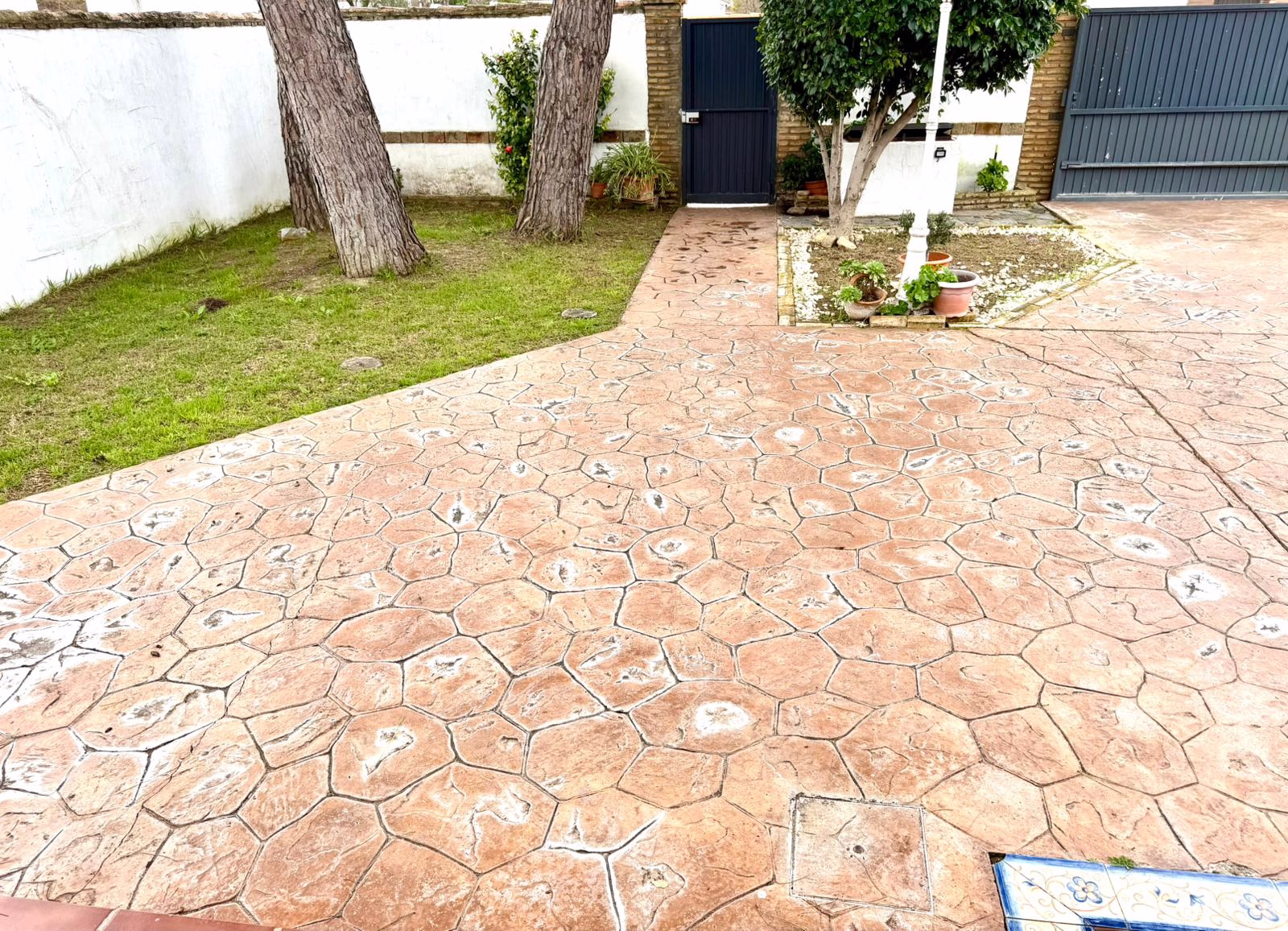 WhatsApp Image 2026-02-18 at 19.29.53