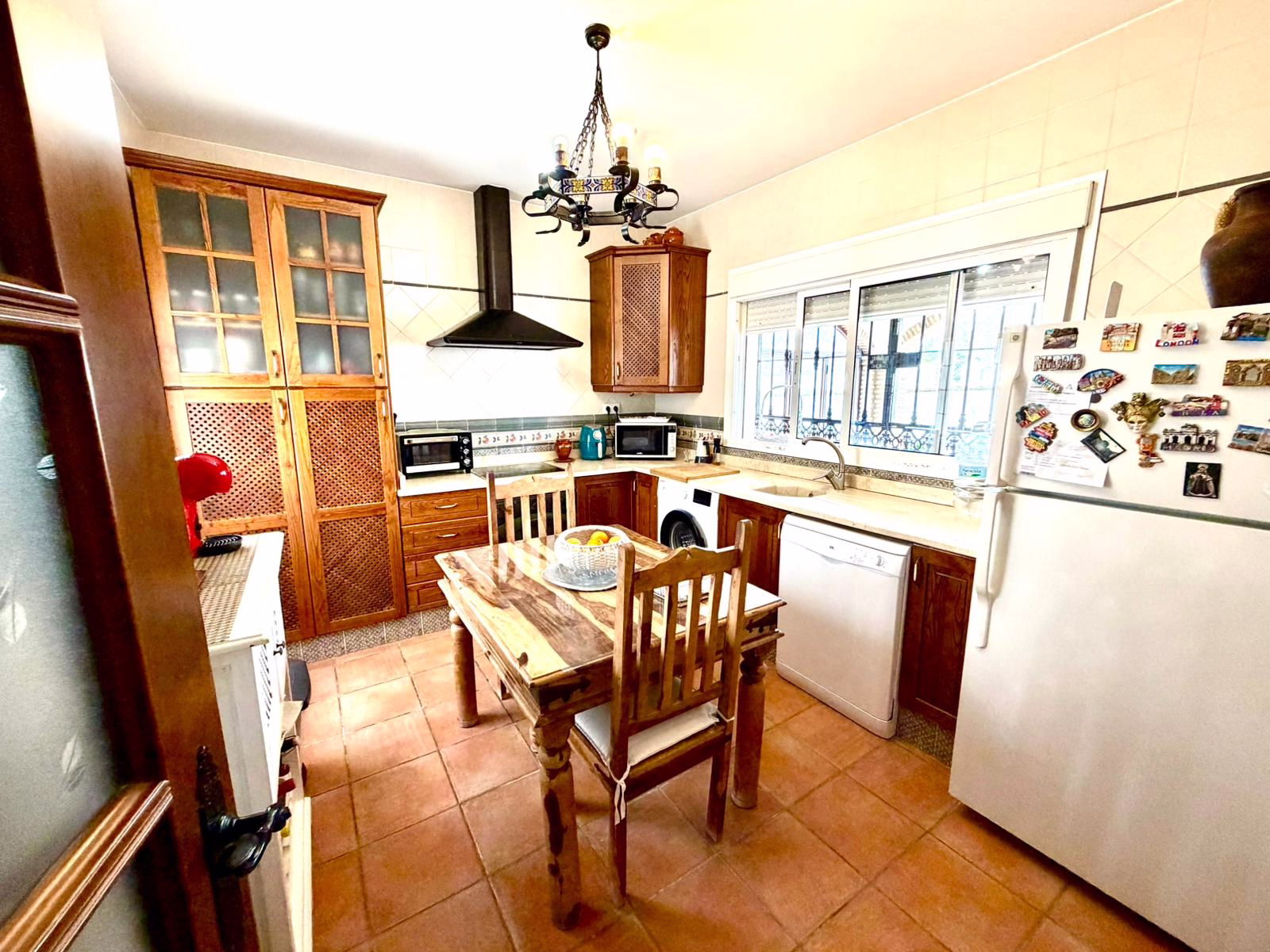 WhatsApp Image 2026-02-18 at 19.29.56