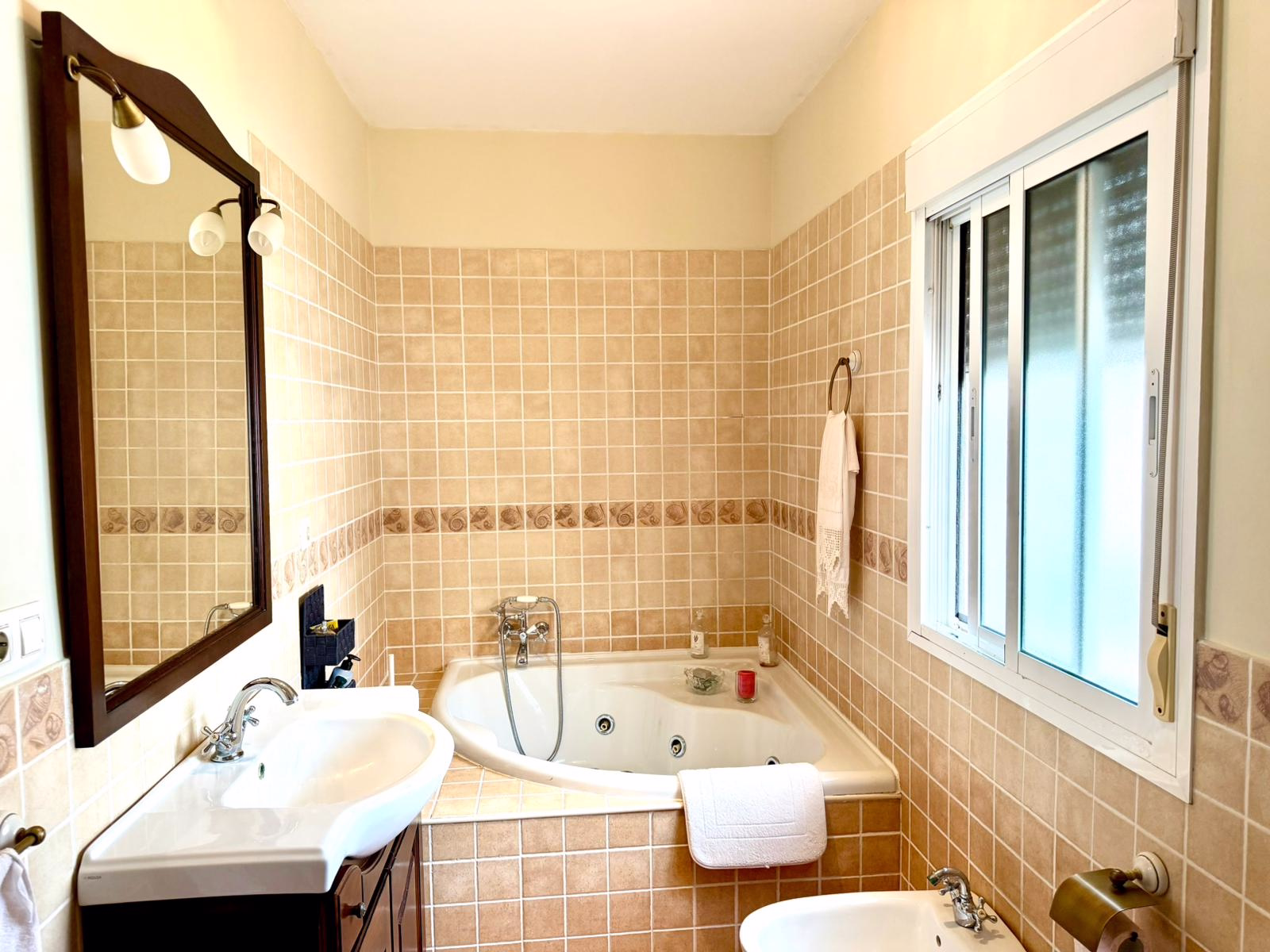 WhatsApp Image 2026-02-18 at 19.29.57 (1)