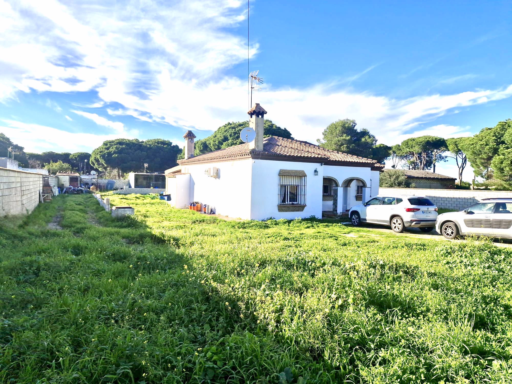 WhatsApp Image 2026-02-18 at 20.46.50 (8)