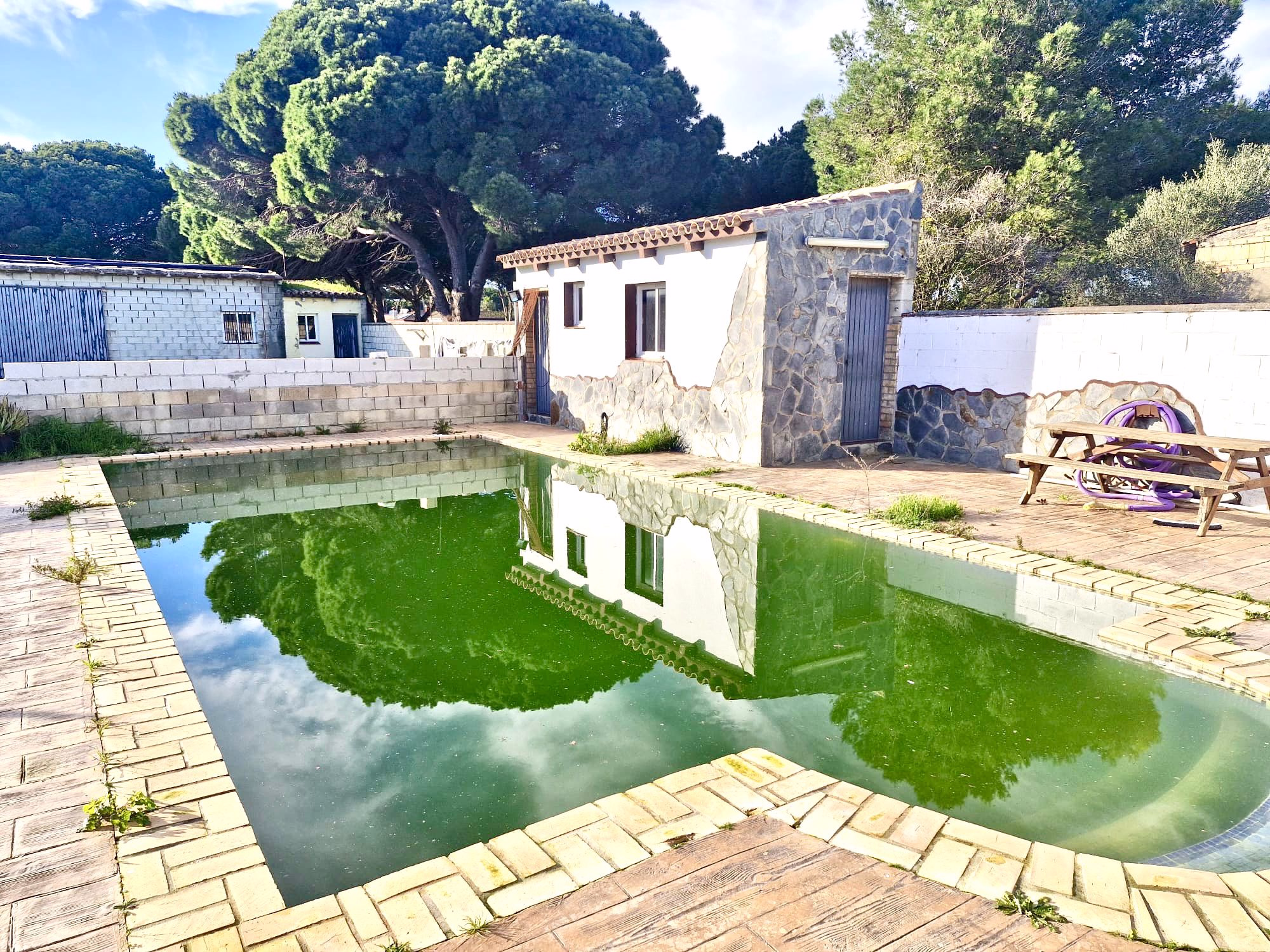 WhatsApp Image 2026-02-18 at 20.46.50