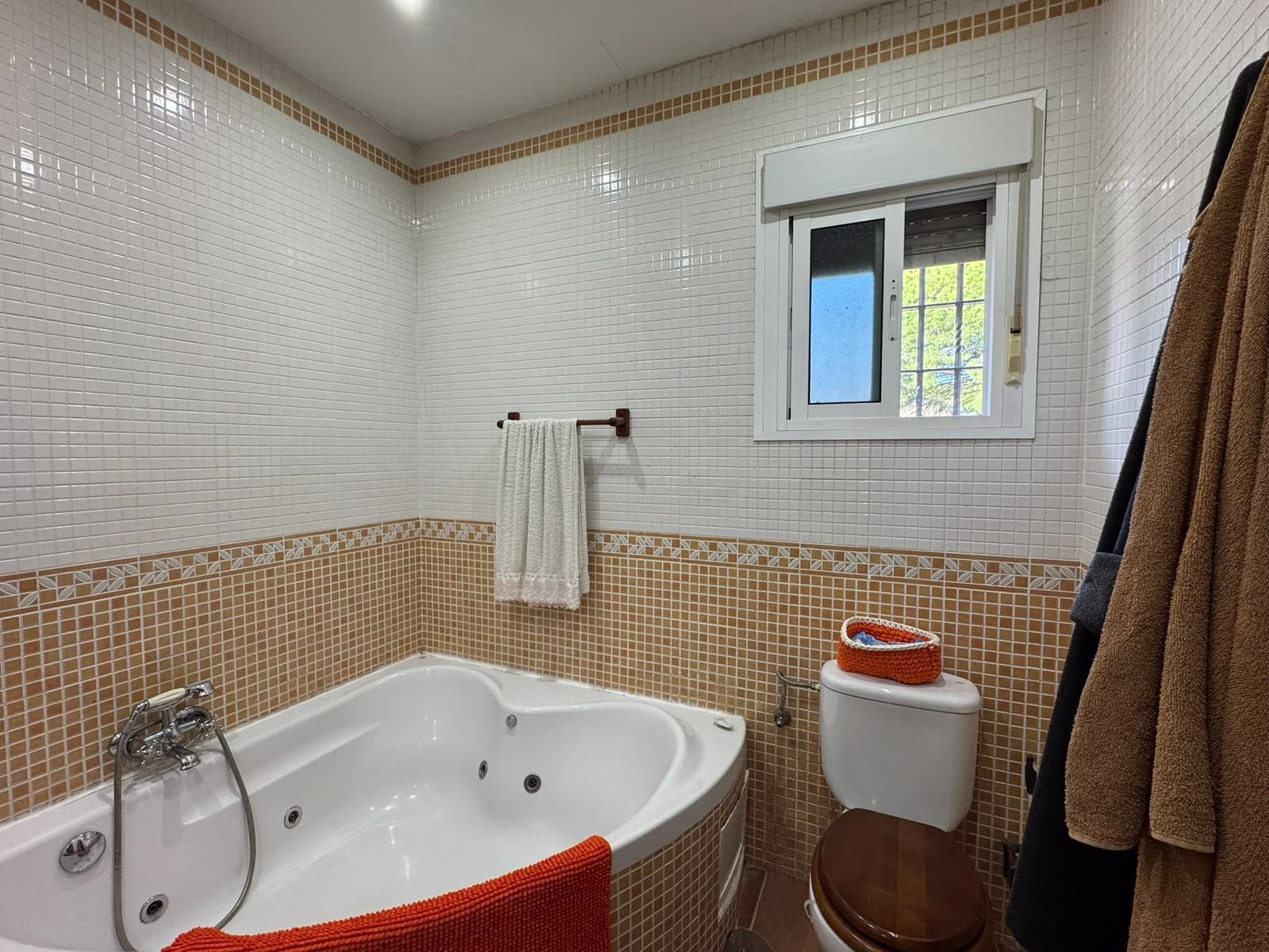 WhatsApp Image 2026-02-18 at 21.13.20 (4)