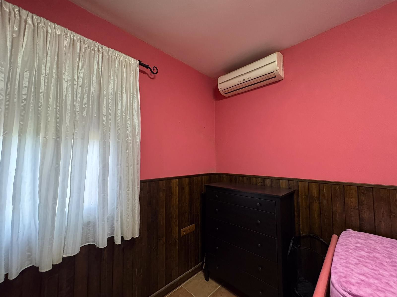 WhatsApp Image 2026-02-18 at 21.13.20