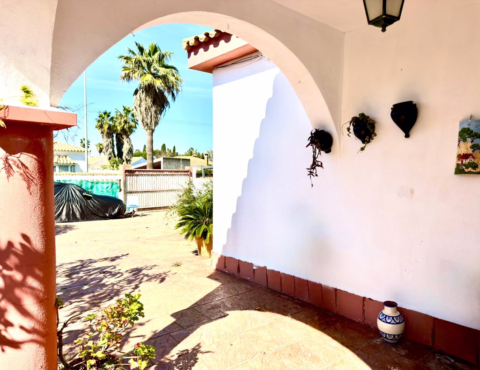 WhatsApp Image 2026-02-23 at 19.38.26 (1)