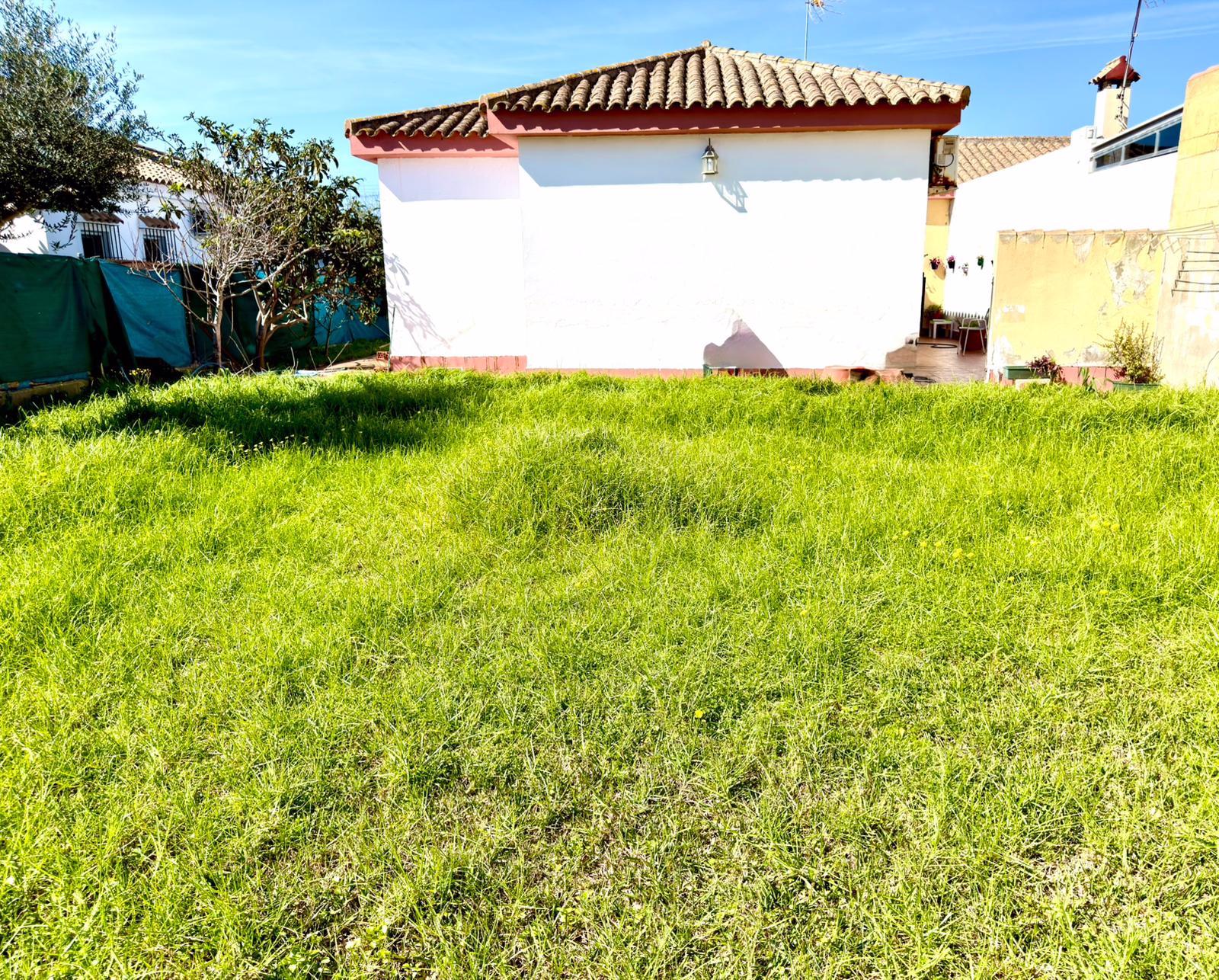 WhatsApp Image 2026-02-23 at 19.38.28 (1)