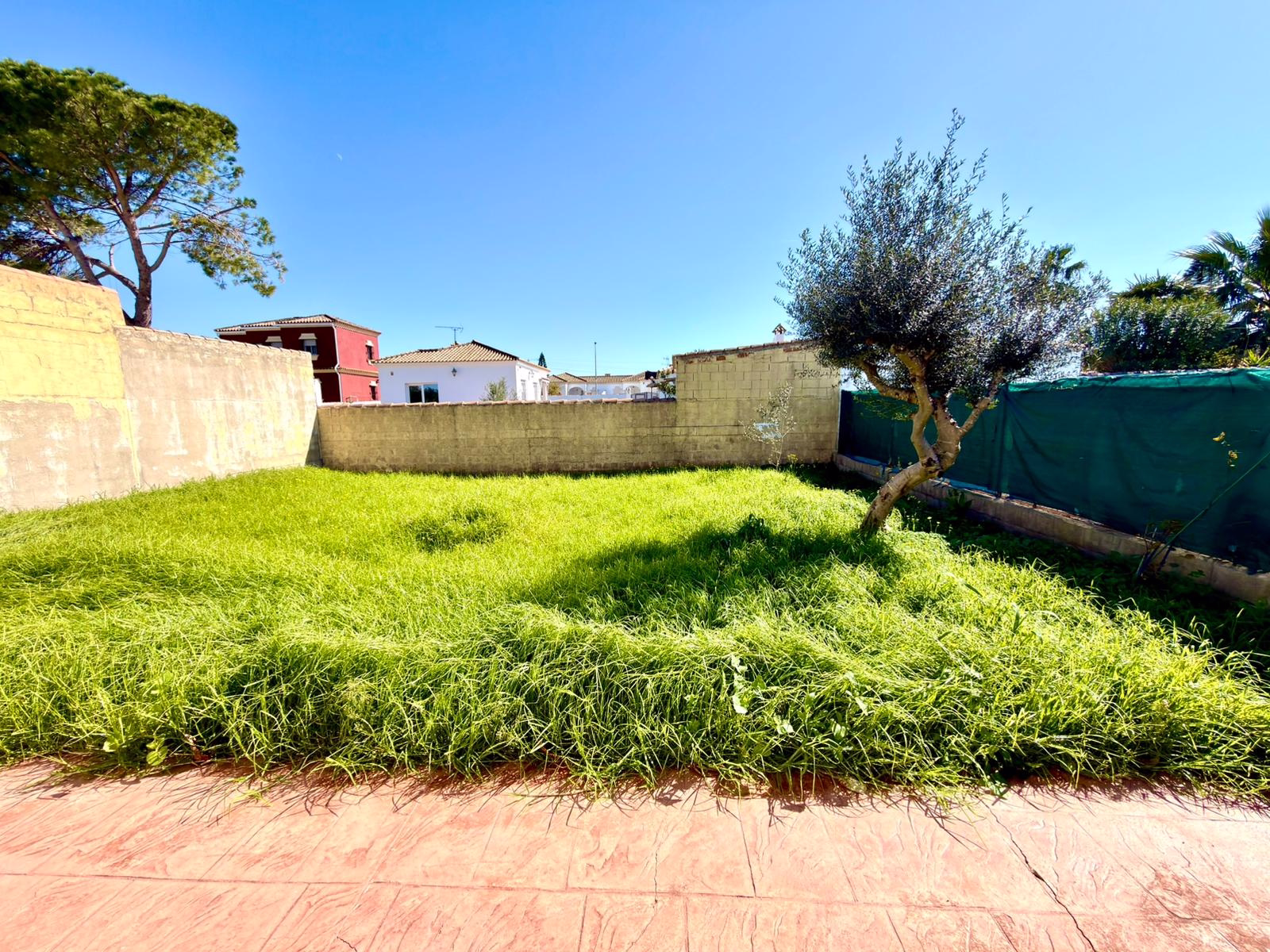 WhatsApp Image 2026-02-23 at 19.38.28 (2)