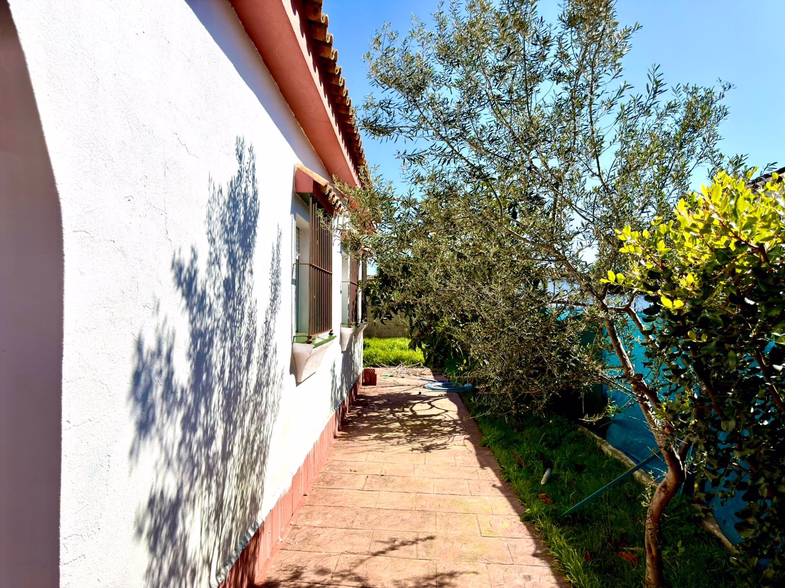 WhatsApp Image 2026-02-23 at 19.38.31