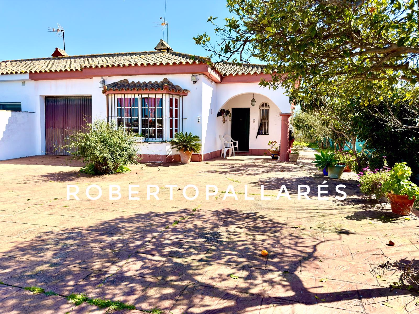 WhatsApp Image 2026-02-23 at 19.38.36