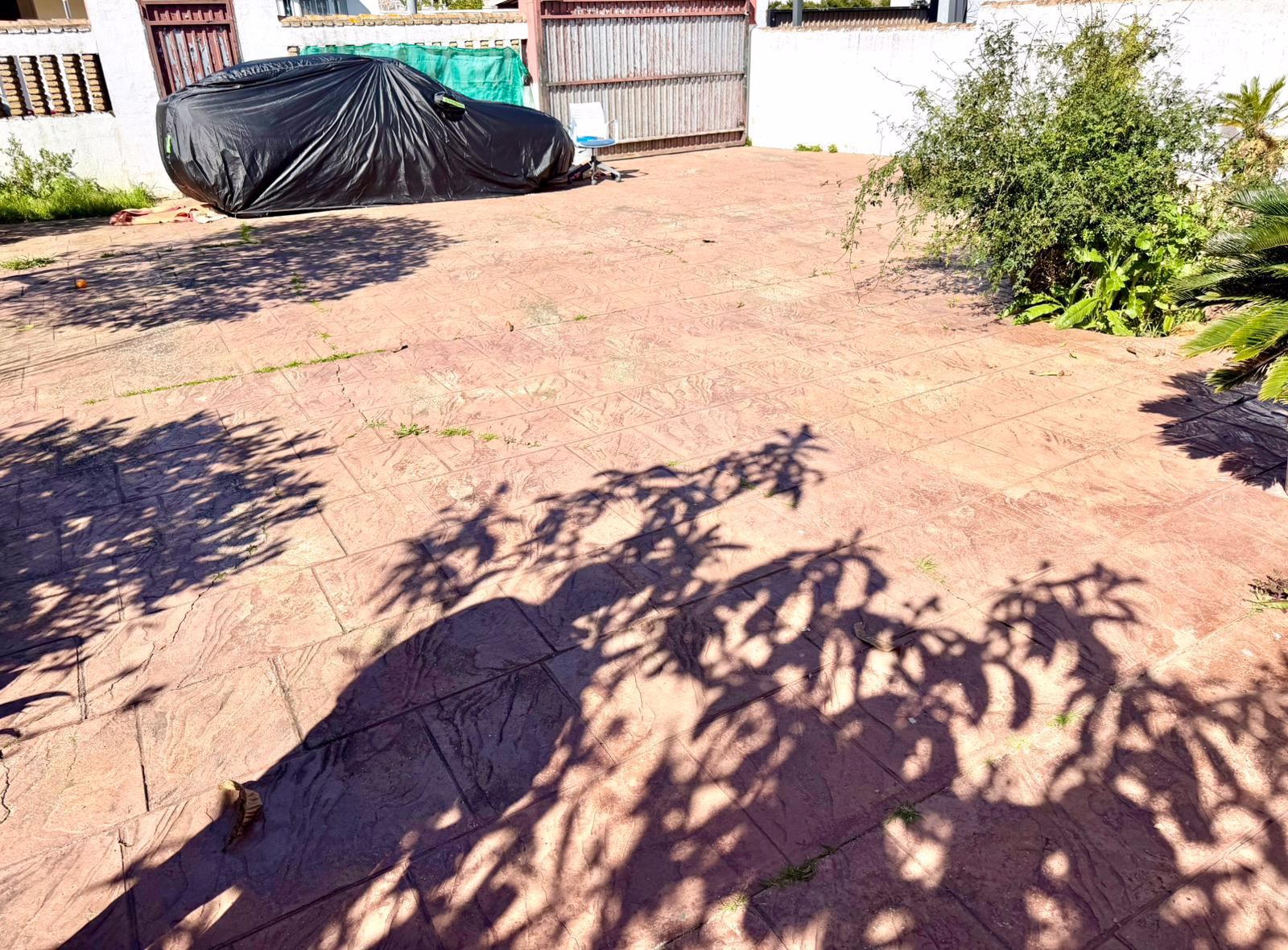 WhatsApp Image 2026-02-23 at 19.38.37