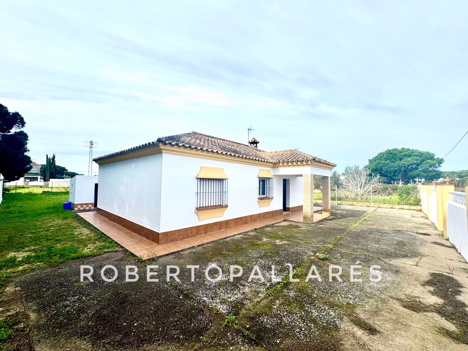 WhatsApp Image 2026-03-14 at 19.45.22 (1)