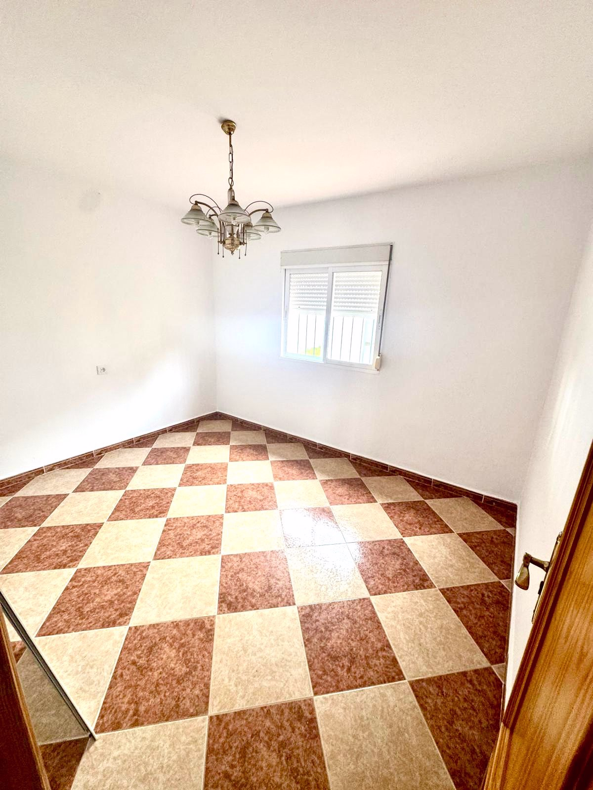 WhatsApp Image 2026-03-14 at 19.45.23 (4)