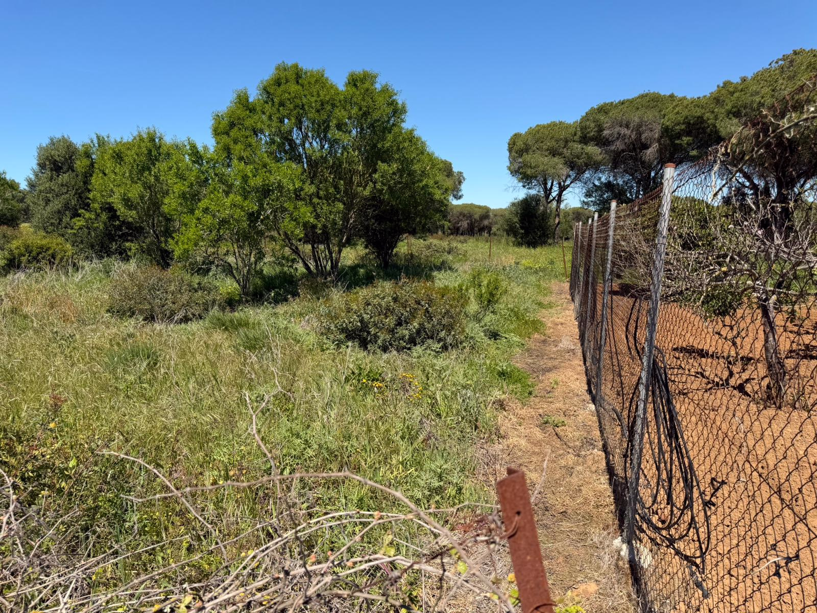 WhatsApp Image 2026-03-31 at 18.40.41 (3)