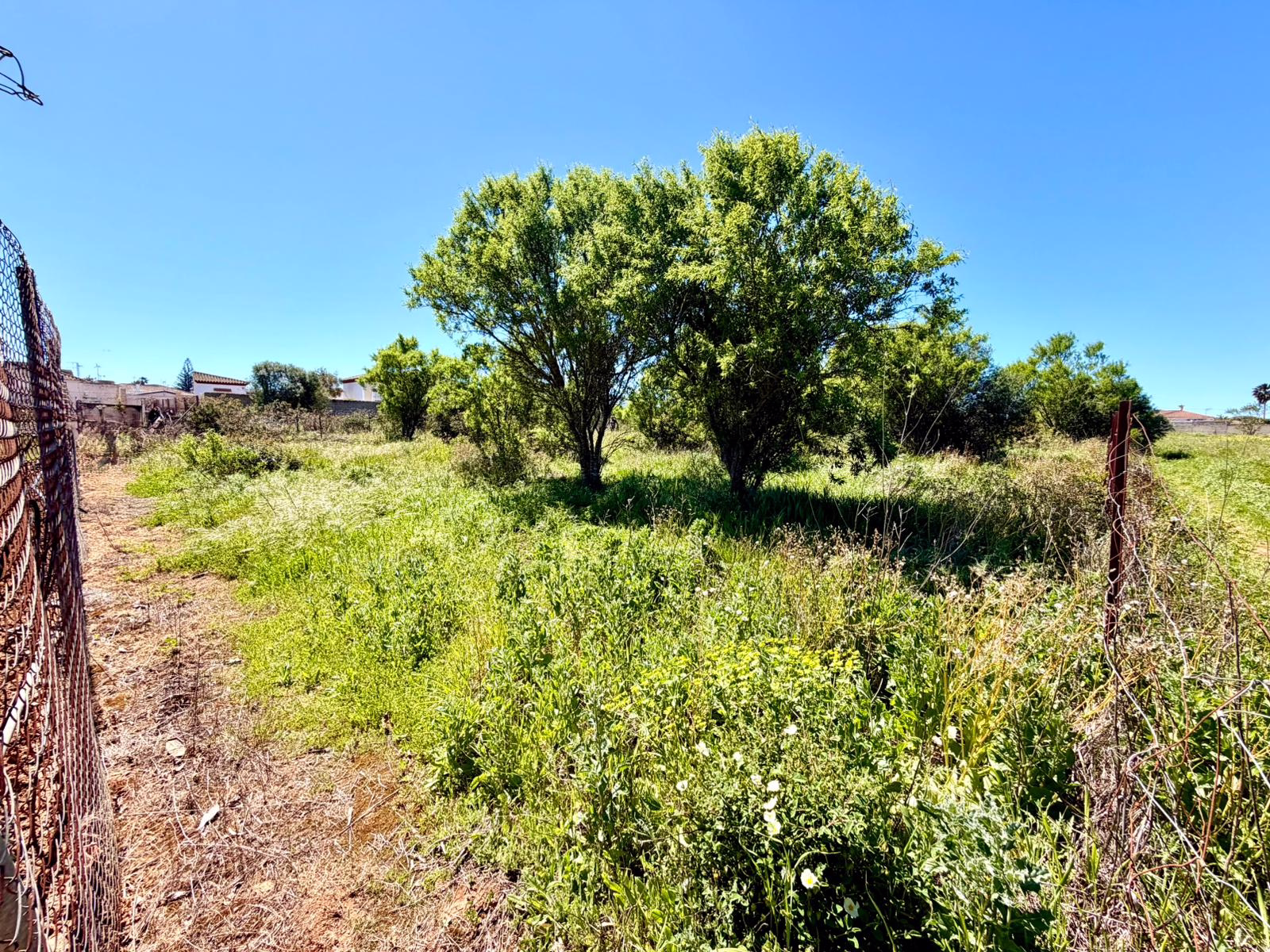 WhatsApp Image 2026-03-31 at 18.40.42 (3)