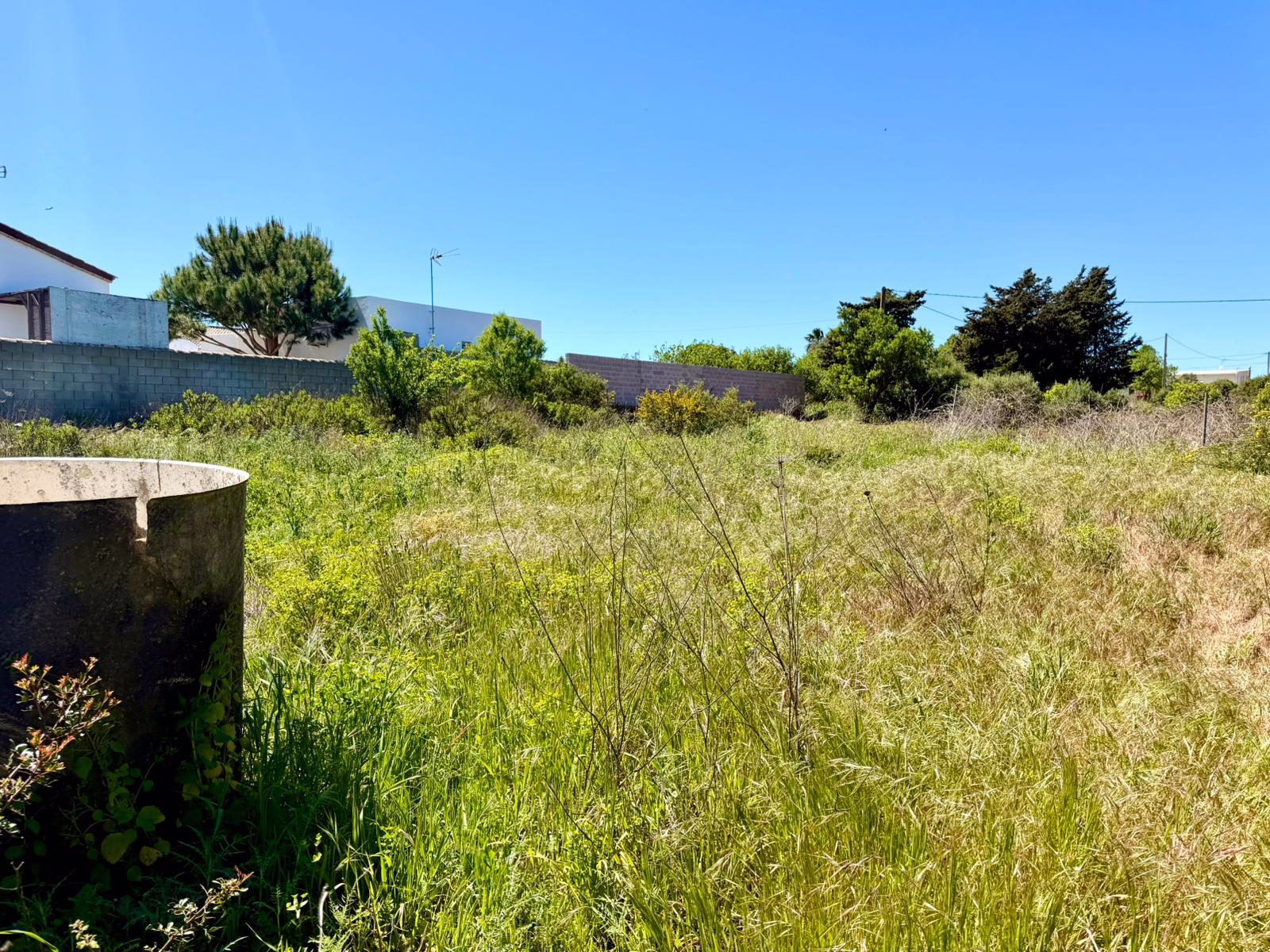 WhatsApp Image 2026-03-31 at 18.40.42