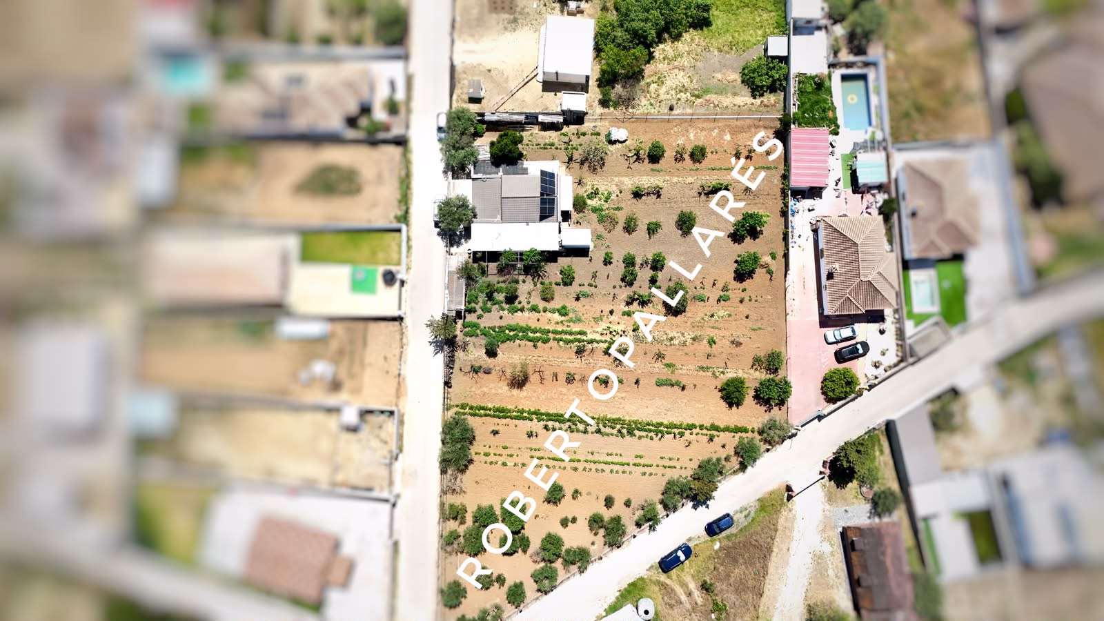 WhatsApp Image 2026-06-22 at 10.17.24